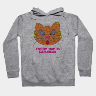 Every Day is Caturday Hoodie